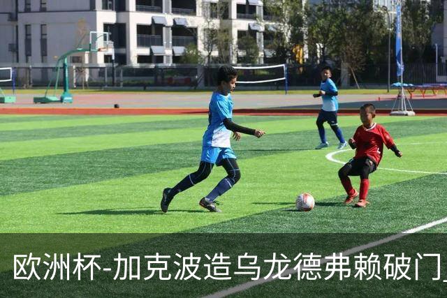 欧洲杯-加克波造乌龙德弗赖破门 荷兰2-1土耳其